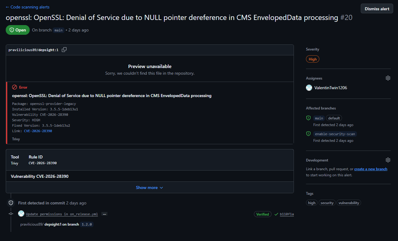 CVE alert detail view